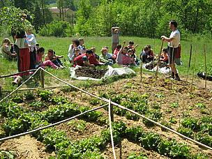 Il progetto Orti per EXPO di Regione Lombardia vuole contribuire a diffondere la cultura dell agricoltura, a rinsaldare il legame tra cibo e terra a