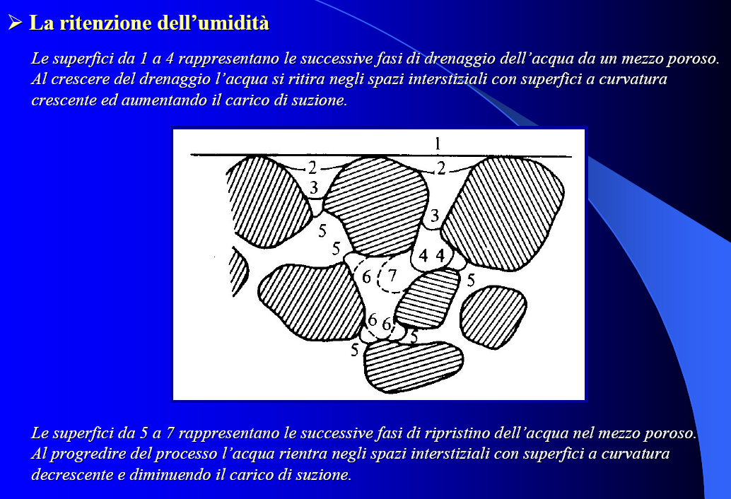 Le curve di