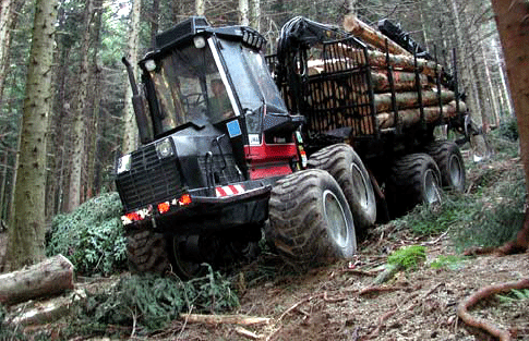 Utilizzo del legno forestale Per poter essere utilizzato in un impianto per la produzione di energia il legno deve