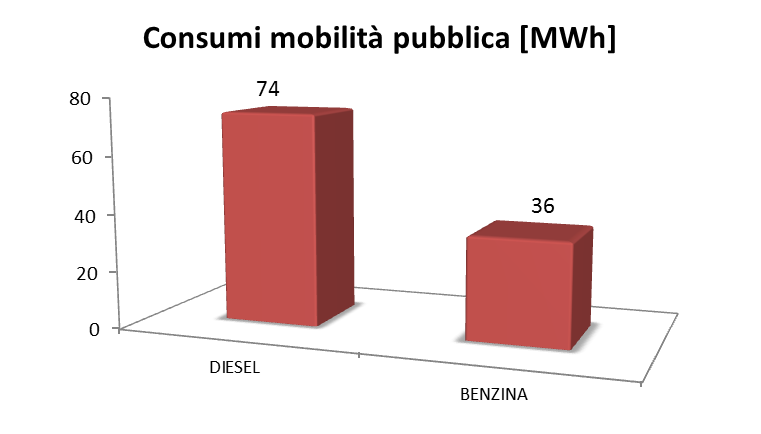 FLOTTA MUNICIPALE Per il settore della mobilità privata che comprende la flotta comunale al 2008 i consumi sono stati di 110 MWh, di cui