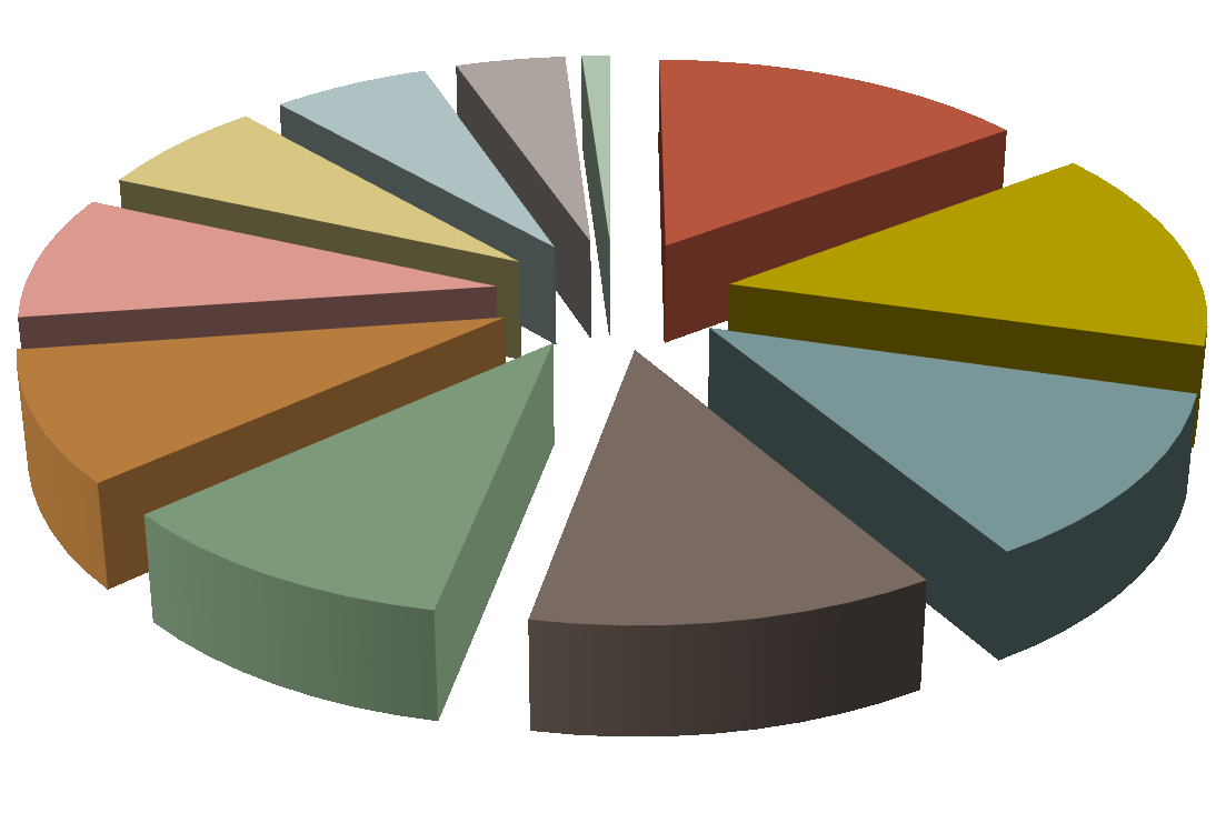 Sito Internet: PAGINE/SEZIONI PIÙ ACCEDUTE Visite per Sezione 6,20% 4,30% 1,10% 6,80% 14,90% 8,80% 9,30% 10,40% 11,80% 14,50% 11,90%