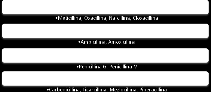 Spettro antibatterico Dalle penicilline naturali a quelle di semisintesi lo spettro antibatterico si estende. Un ulteriore ampliamento è portato dall associazione con inibitori di beta lattamasi.