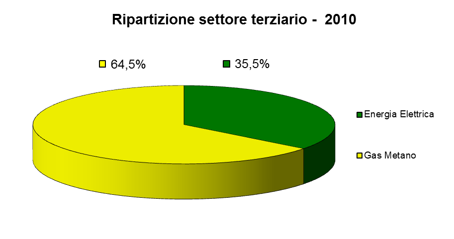 Terziario Si intendono tutti i consumi degli immobili e dei servizi annessi che fanno capo al settore terziario. I vettori considerati in questo ambito sono l energia elettrica ed il gas metano.