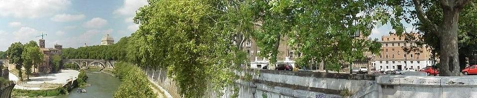 Lungotevere Platani Confronto alberi sul fiume e