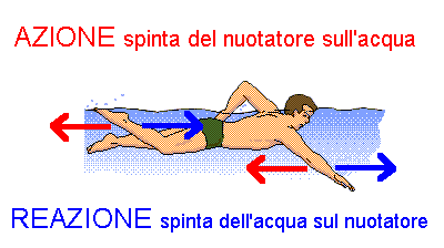 Propulsione nel nuoto Propulsione: spostamento di un fluido (liquido o aeriforme) Il fluido viene spinto all indietro dalle braccia Il fluido reagisce con una forza in avanti