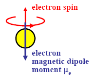 3.6 Il mo me nto ma g netico In questo paragrafo vogliamo descrivere l interazione che si stabilisce tra l elettrone e il momento magnetico dei nucleoni.