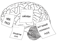 Memoria e Apprendimento I ricordi sono il centro della nostra individualità.