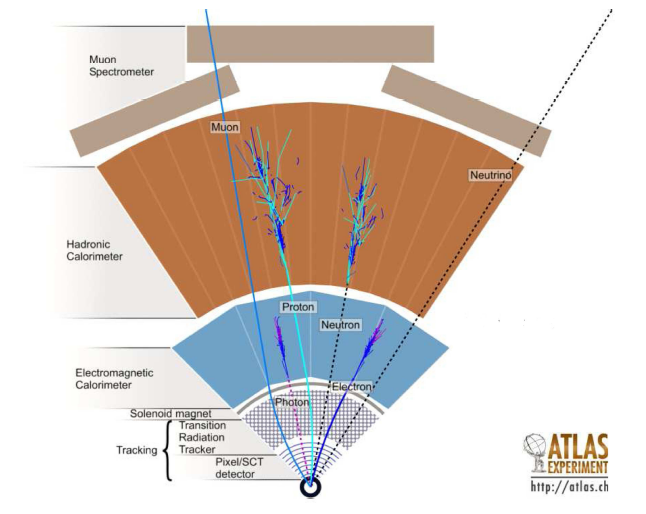 Figura 1.13: Sezione trasversale dei vari rivelatori utilizzati in ATLAS ed illustrazione della interazione con i diversi tipi di particelle.