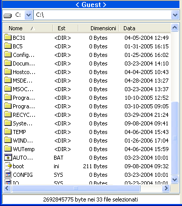 3.6.3.4 Pannello dei record I due pannelli dei record della finestra NetOp File Manager hanno lo stesso aspetto: Le barre superiori del titolo visualizzano il <Guest> nel pannello dei record di