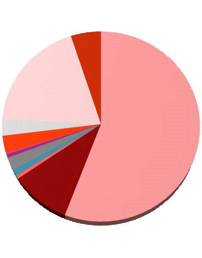 Ripartizione costi del personale fra le varie componenti Emolumenti fissi del personale 5,05% 0 Emolumenti variabili del personale Oneri da contrattazione decentrata 19,03% Oneri da rinnovi