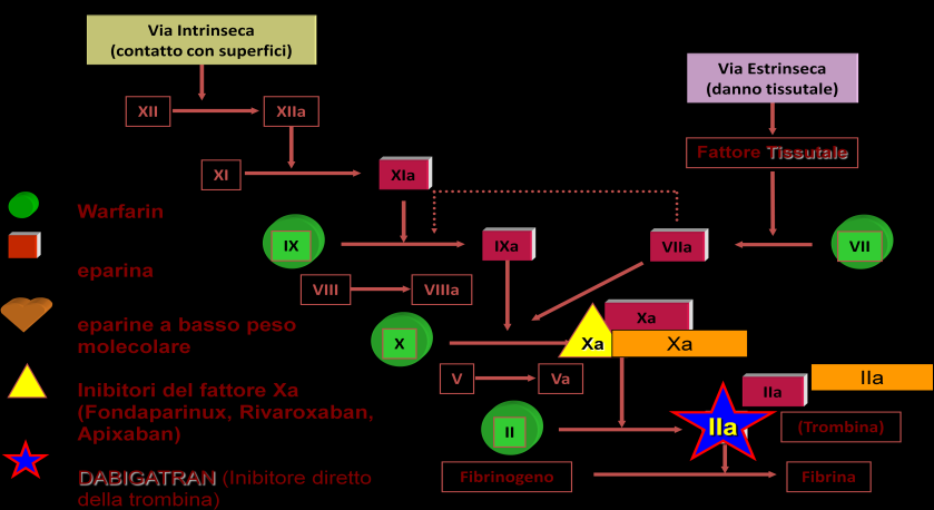 Figura 1.