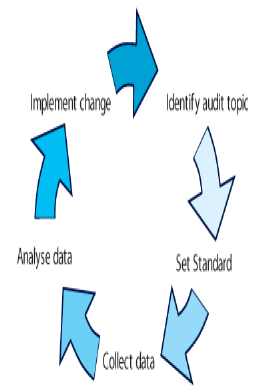 4.6 Verifica 4.6.1 Monitoraggio, misurazione e analisi (P-Do-Check-A) L'organizzazione deve stabilire e descrivere un piano di monitoraggio e misurazione per le caratteristiche chiave delle proprie