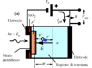 Figura 20: Fotodiodo Un fotodiodo (figura 20) è un particolare diodo, caratterizzato da una giunzione p-n drogata asimmetricamente: la zona p risulta molto più drogata rispetto alla zona n.