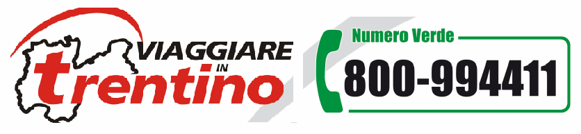 - informare gli utenti in ordine alle condizioni delle strade, ai comportamenti da tenere, ad eventuali blocchi in atto e/o a tratti stradali non percorribili, agli itinerari consigliati, etc.