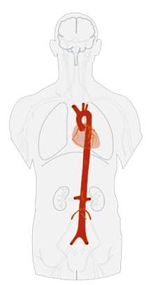 Analisi del rischio sul Contropulsatore IABP Capitolo 2 - Analisi del rischio sul Contropulsatore IABP (Intra Aortic Baloon Pump) Questo capitolo si propone di introdurre e descrivere il macchinario