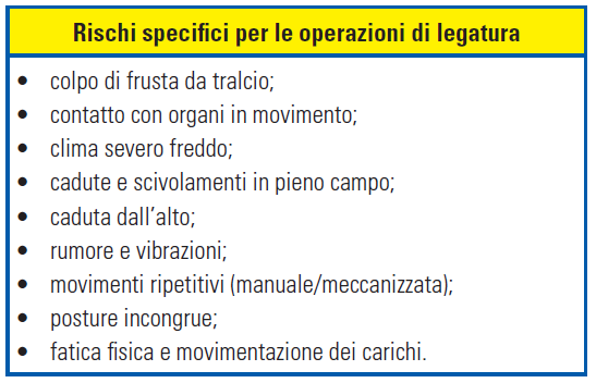 Rischi specifici: