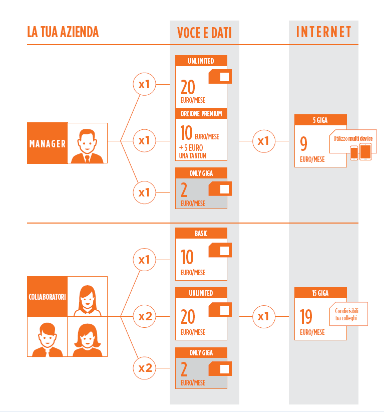 ESEMPIO DI GIGA SMART SHARE CLIENTE SMALL: 7 SIM MANAGER Giga