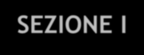 AGENDA SEZIONE I Focus strategici Sviluppo delle aree di attività federali -Attività sportiva Investimenti realizzati Risultati ottenuti -Formazione Settore Istruzione Tecnica Sezione Salvamento