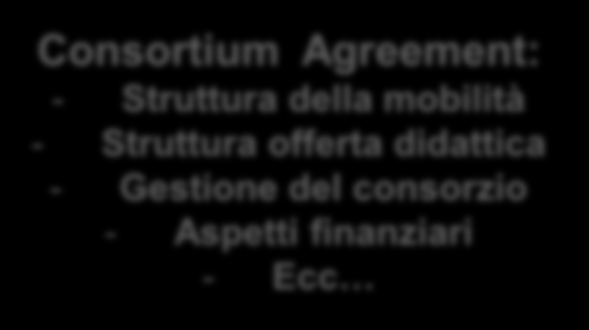 Elementi caratterizzanti: Partenariato I percorsi congiunti a Padova: Partner 1 Partner 2 Partner 2 Partner 1 Coordinatore Accordo bilaterale finalizzato al rilascio di titolo doppio o congiunto: -