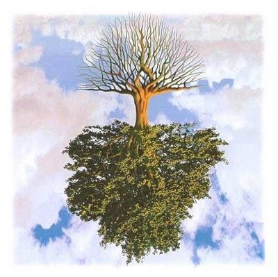 Secondo alcune tradizioni, l albero della vita cresce al contrario. I tronchi ed i rami verso il basso, le radici verso l alto. Le chiome affondano nella terra, le radici guardano il cielo.