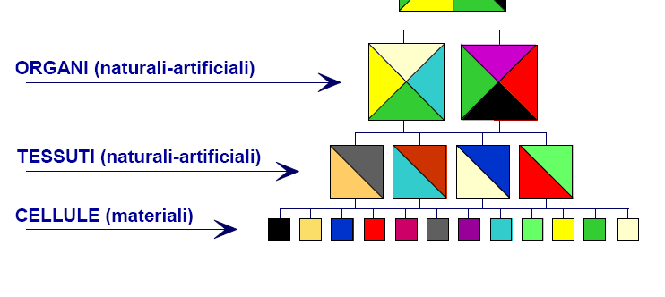 Organizzazione gerarchica del corpo umano Occorre