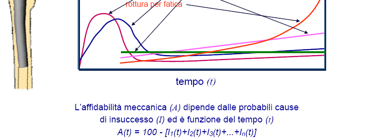 (1981) che la definiva come una Diretta connessione funzionale e