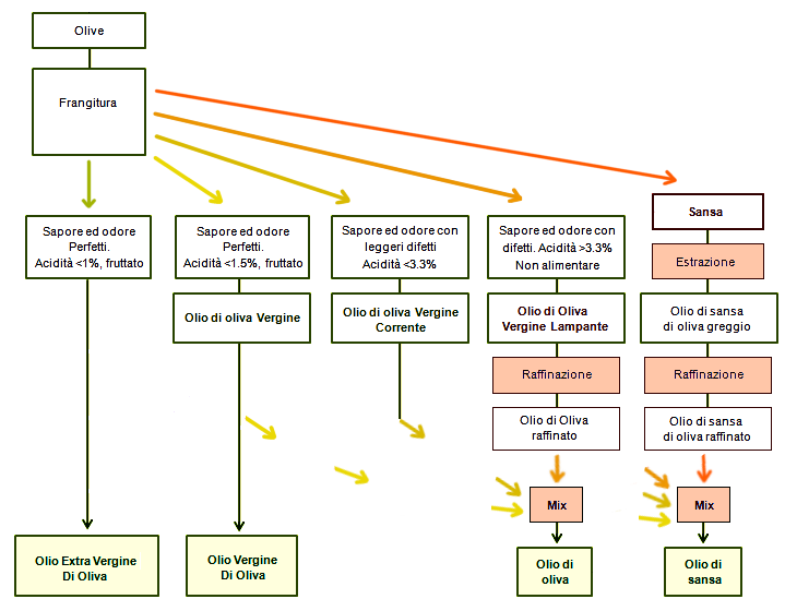 Tipi di olio Per il commercio al dettaglio possono essere commercializzati soltanto: Olio extra vergine di