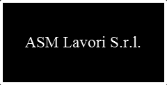 Controllo delle società Al 31.12.2013 la società ASM Pavia S.p.A. controlla al 100% la società ASM Lavori S.r.l., Società costituita nel maggio del 2005 con capitale sociale all epoca di Euro 100.