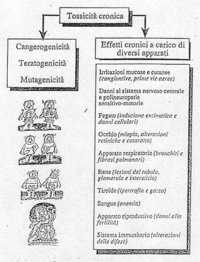 VINCOLI: CONTAMINAZIONI da