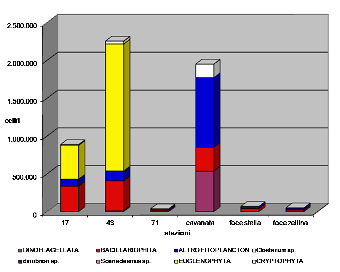 Rispetto alla campagna precedente la quantità di microflagellati è nettamente inferiore in tutte le stazioni campionate, il valore massimo si è registrato in corrispondenza della stazione Cavanata