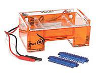 ELETTROFORESI Tecnica analitica che consente di separare molecole cariche grazie all applicazione di un campo elettrico.