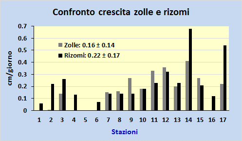 (A) (B) Fig. 15. (A) Diametro raggiunto dalle zolle dopo 6-8 mesi dal trapianto nelle 17 stazioni del 2014; (B) Percentuale di sopravvivenza dei rizomi dopo 5-6 mesi. (A) (B) Fig. 16.