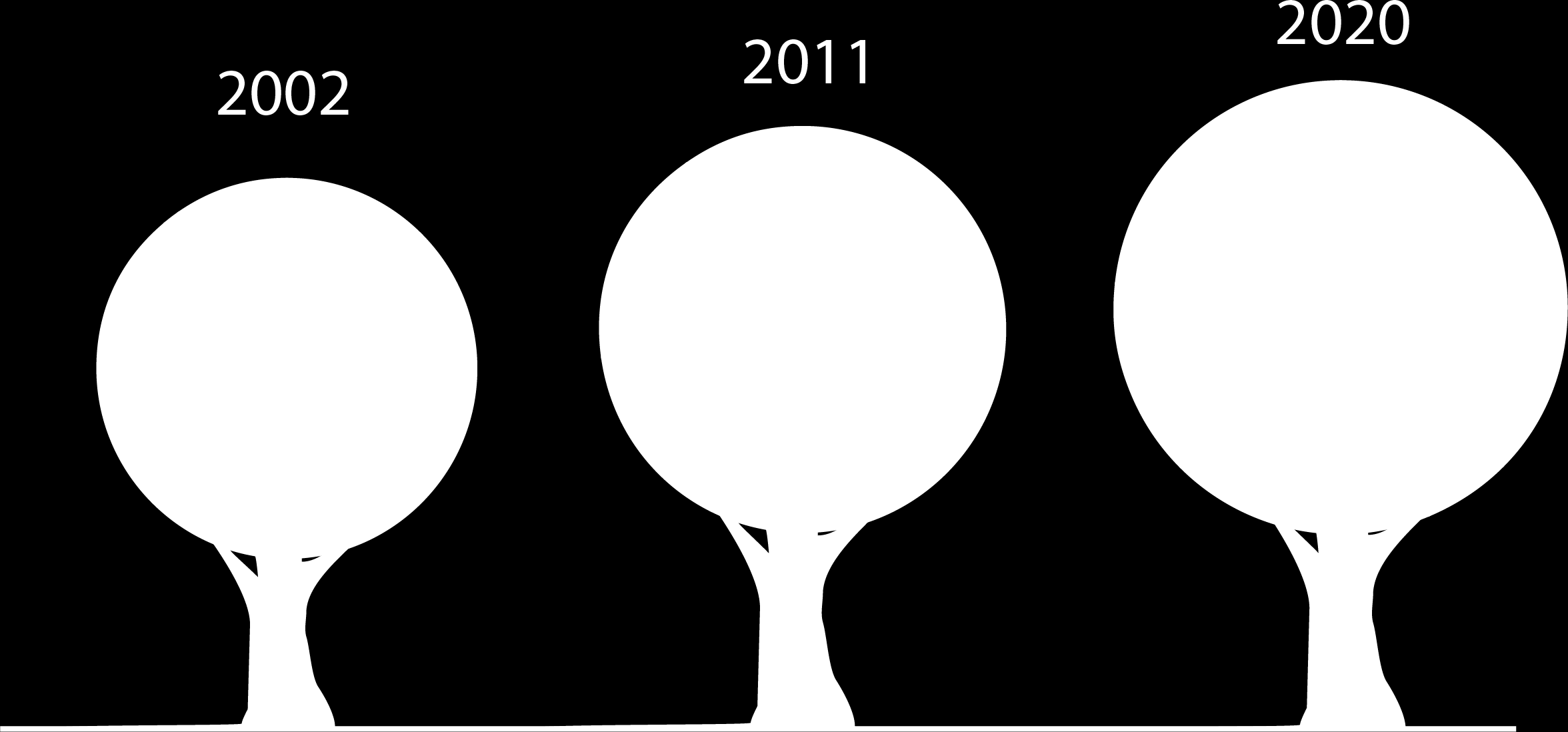 Consumi di biomasse legnose tipologie e trend Legna