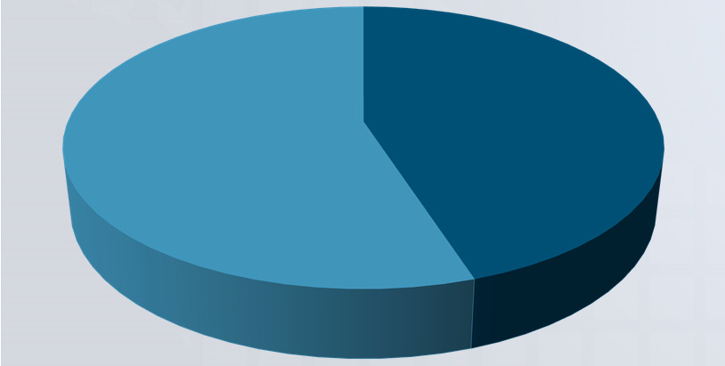 55% Italia 45% Altri Paesi europei 72,3% Italia 27,7% Altri