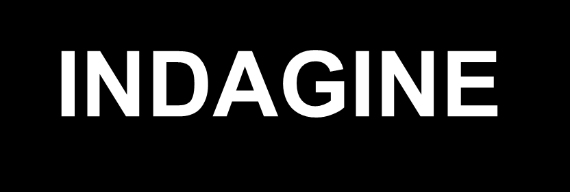 Impostazione Fase 1: formalizzazione del problema Fase 2: intervista ai testimoni privilegiati azione controllo INDAGINE Strumento Fase 3: ideazione del questionario Fase 4: pre-test del questionario