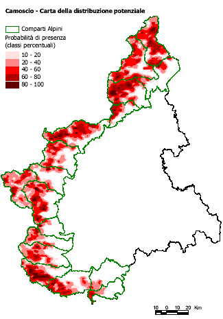 DISTRIBUZIONE PIEMONTE Occupato quasi tutto il