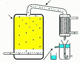 Schema del processo di distillazione in corrente di vapore il vapore attraversa il materiale vegetale (in giallo) e distilla l olio CALDAIA miscela vapore/olio acqua in uscita CONDENSATORE acqua
