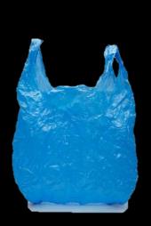 Imballaggi in plastica, bottiglie e flaconi (detersivi, prodotti per l igiene, alimenti ), confezioni e imballaggi in polistirolo, buste e sacchetti in plastica, reti per frutta e verdura, cassette