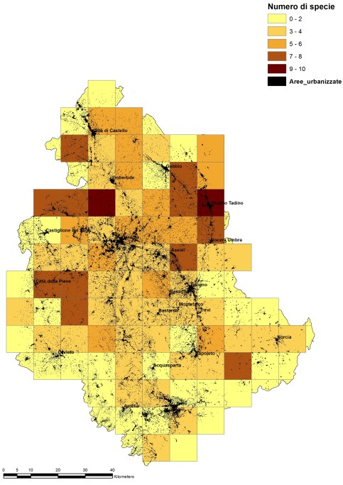 FRDx and population density: correlation analysis FRDx and morphological parameters: correlation analysis Erosione di habitat e frammentazione ambientale: Caso studio della Regione Umbria Confronto