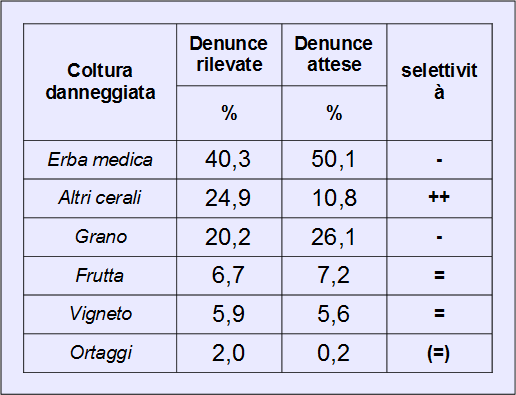 Cinghiale: frequenza di danno