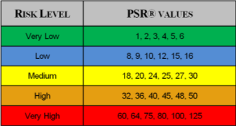 Risk Calculation (PSR Risk Index) Relevance (1-5) Risk Busines s- related (Get from Mgmt) 19