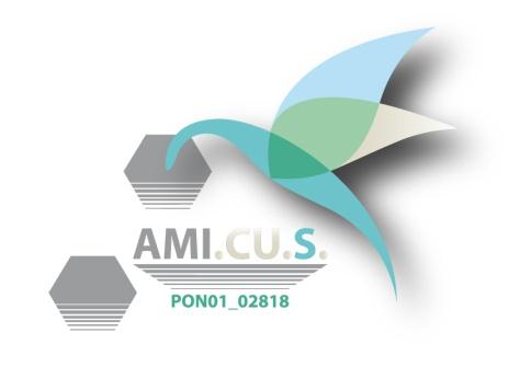 Il Progetto AMICUS Titolo del Progetto di Formazione Metodi e tecniche di gestione dell ambiente n.