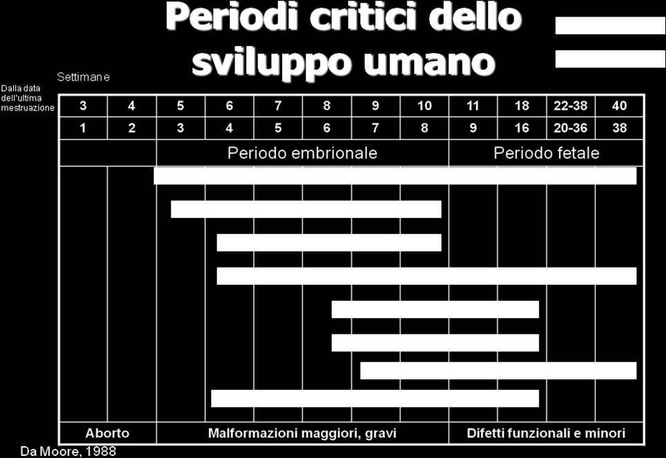 Quasi tutte le donne, quando si accorgono di aspettare un bambino, cominciano a prendere precauzioni e a curare di più la propria salute.