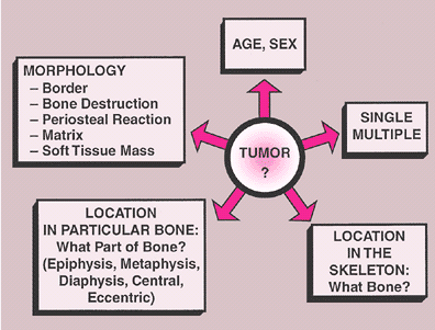 ITER DIAGNOSTICO 1. Indicazioni clinico-anamnestiche 2. Imaging (R.C.,TC,RM) 3.