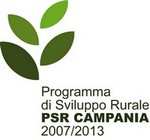 PREMESSA INVITO A PRESENTARE IDEE PROGETTO NEI SETTORI AMBIENTE, COMPETITIVITA', DIVERSIFICAZIONE Il GAL Alto Casertano è il soggetto selezionato dalla Regione Campania per realizzare l'asse IV nei