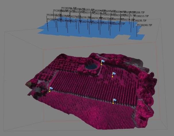 APPLICAZIONE: MODELLO 3D E ORTOIMMAGINE Ricorstruzione