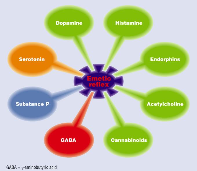 chemioterapici e dai loro metaboliti inducenti emesi sono