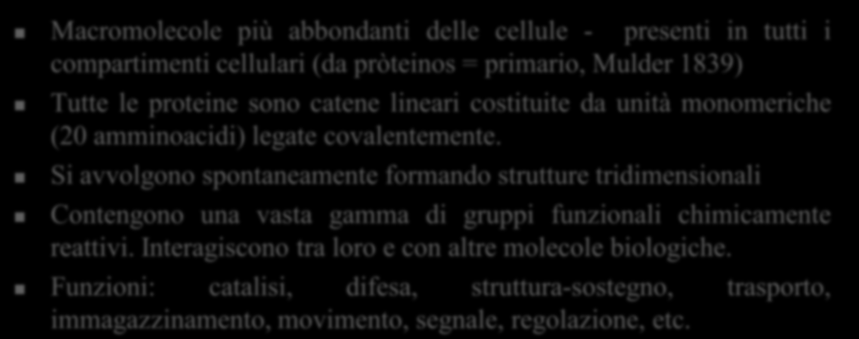 Le proteine Macromolecole più abbondanti delle cellule - presenti in tutti i compartimenti cellulari (da pròteinos = primario, Mulder 1839) Tutte le proteine sono catene lineari costituite da unità