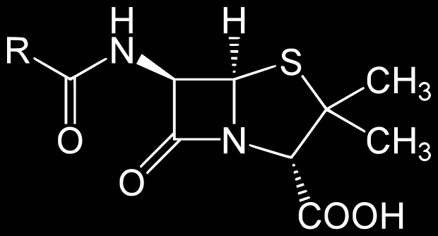 Gli antibiotici β lattamici (penicilline,