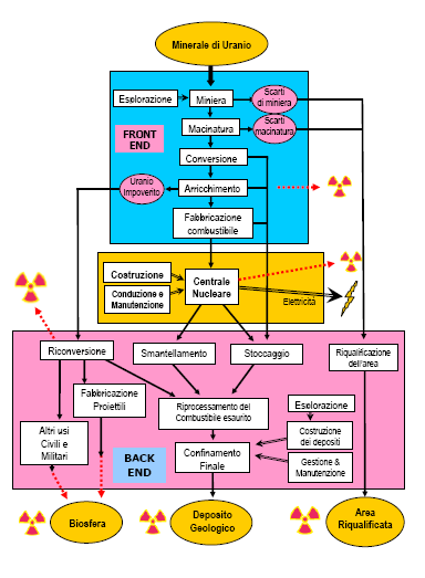 Il ciclo dell uranio e la CO2 1 2 Per produrre il combustibile di uranio si emettono 55g. di CO 2 /kwh Per costruire una centrale nucleare si emettono 12g.